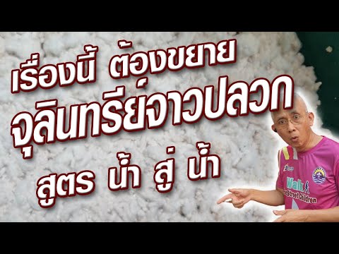 เรื่องนี้ต้องขยาย จุลินทรีย์จาวปลวก สูตรน้ำ สู่ น้ำ