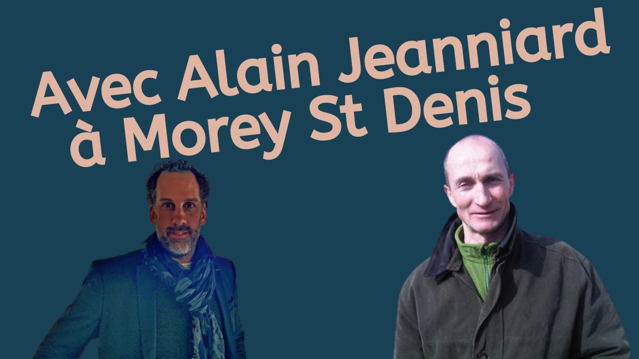 Alain Jeanniard, Morey St Denis (Bourgogne)