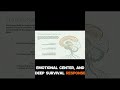 The body keeps the score — why somatic healing matters #substack #shorts