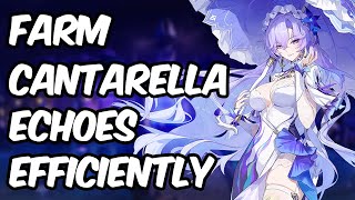 EASY Cantarella Echo Farming Routes + Step-by-step Guide | Wuthering Waves