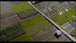 Titi Dj - Arga do bona ni pinasa (by Viky Sianipar)