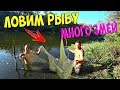 ЛОВИМ РЫБУ НЕВОДОМ! (СЕТЬЮ) МНОГО ЗМЕЙ! Египет, подводный мир!