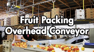 Fruit Packaging using an Empty Carton Delivery Conveyor