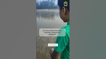 Is every behaviour for sensory reasons in Autism