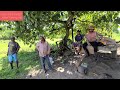 guyana  back dam fishing with Joey. tractor trailer drive..