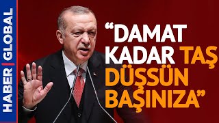 Erdoğan'dan Berat Albayrak Çıkışlarına Sert Tepki: Damat Kadar Taş Düşsün Başınıza Resimi