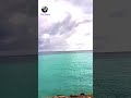 Title:Maldives Sea & Speed Boat 🌊🚤Hashtags:#Maldives #SpeedBoat #SeaView #OceanLife #Shorts #ViralSh
