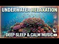 Soothing Music to Calm the Mind, Calm Nerves • Meditation Sounds