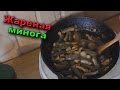 ЖАРЕНАЯ МИНОГА | Дальневосточный деликатес | Lamprey fish river monsters