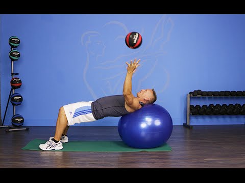 exercise 14.1 class 11 Flying Ball on a Ball