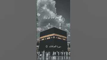 فلما بلغ معه السعي | تلاوة الشيخ وليد بن راشد السعيدان | سورة الصافات | حالات واتس اب