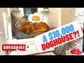 A 10000 dog house