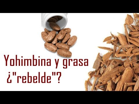 Yohimbina lo que debes saber