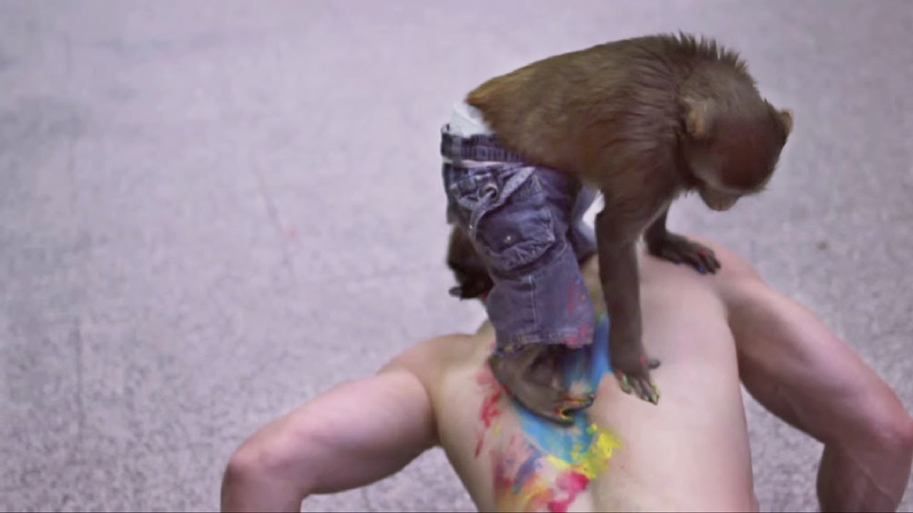 Dancing Monkey with Pants - YouTube