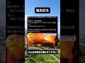 ㊗️100万再生!愛宕神社燃える🔥