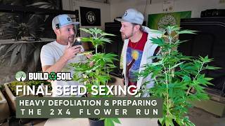 BuildASoil: 2x4 Series // Final Seed Sexing, Heavy Defoliation & Preparing the 2x4 Flower Run