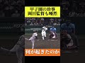 甲子園の珍事！佐藤輝明の打球はまさかの判定に‥#阪神タイガース #佐藤輝明 #珍プレー #読売ジャイアンツ #プロ野球 #なんj反応