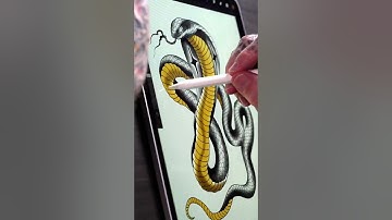 How to Create a Snake Tattoo Design in Procreate
