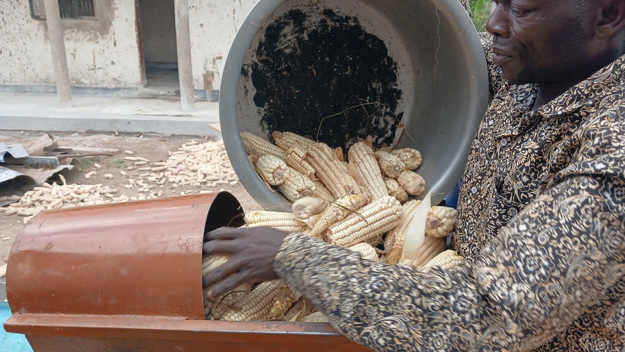 Removing grains 