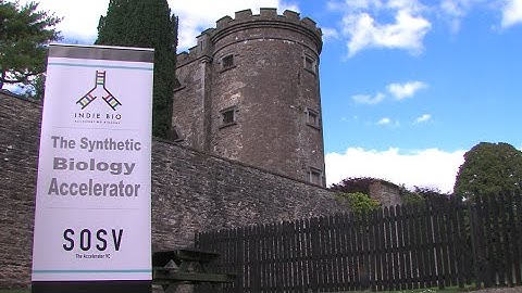 9 global start-ups strut their stuff at Indie Bio Demo Day in Cork