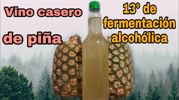 ¿El vino de piña es bueno para la salud?