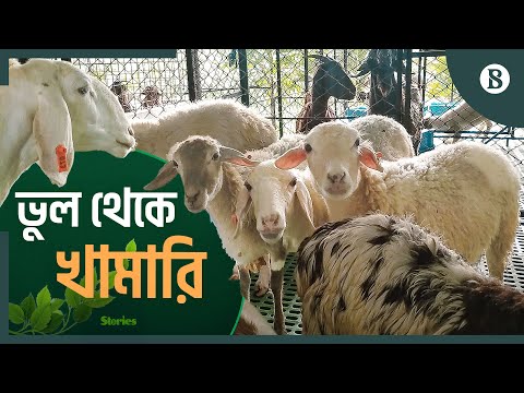 Chuvash pornosini onlayn tomosha qiling Zinapoyada panties yoq