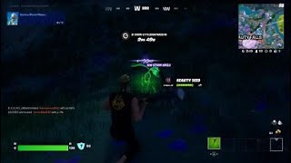 Reality Sapling At Reality Falls Location - Fortnite