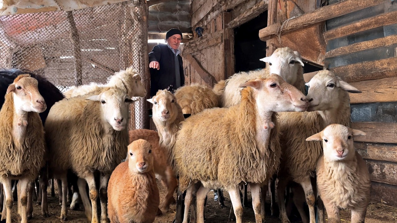 The Heart of Mountain Village Life: Farming, Cooking, and Family
