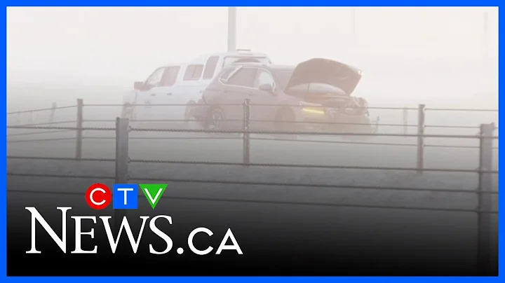 Snow day in Edmonton