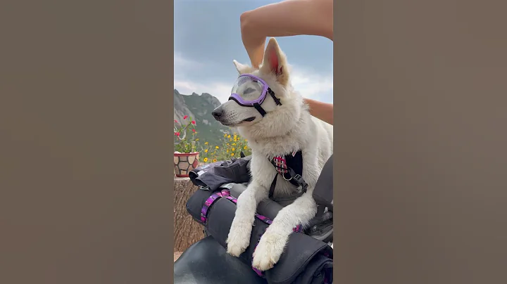 It’s so incredible, you might barely notice what else is going on…