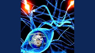 Pitboss 2000 - The Overview Effect