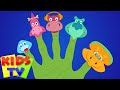 Dinosaurs Finger Family Nursery Rhymes For Kids And Song For Children