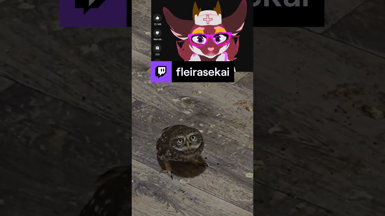 Just me doing silly stuff in live  