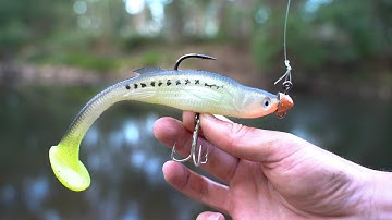 Big Fish Eat This Swimbait