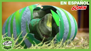 Un nuevo bebé de dinosaurio | Videos de dinosaurios y juguetes para niños