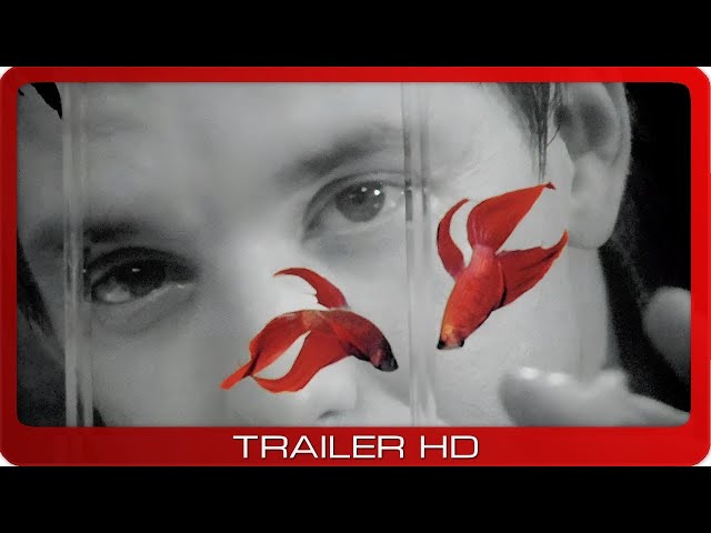 Watch movie trailer