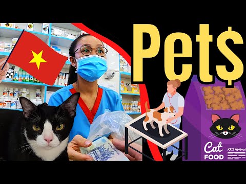 Video: Pet Scoop: Vietnam Veteriner Kayıp Köpekle Birleşti, Tiger Kulak Enfeksiyonu İçin Akupunktur Alır