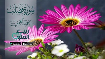 سورة فصلت كاملة  بصوت احمد العجمي  Sourat Fussilat Ahmad Al-Ajmy