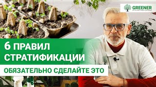 Стратификация: КАК И ЗАЧЕМ ее делать? 6 ПРАВИЛ от эксперта!