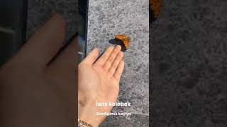 Cellatiniz 21 Ekim Instagram Storyleri