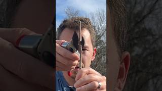 Famous Always use these 2 Pruning Cuts ✂️ Net Worth