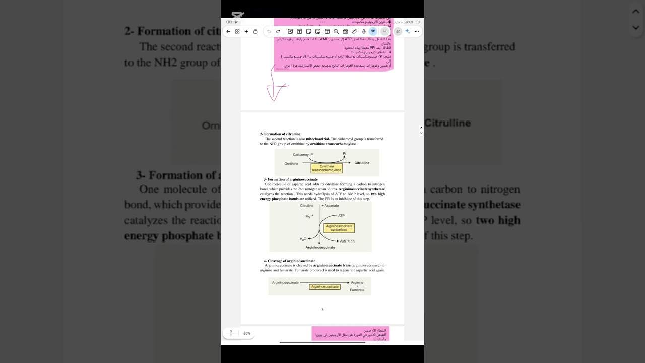 Biochemistry lec 13طب الاسنان مرحله ثانيه 