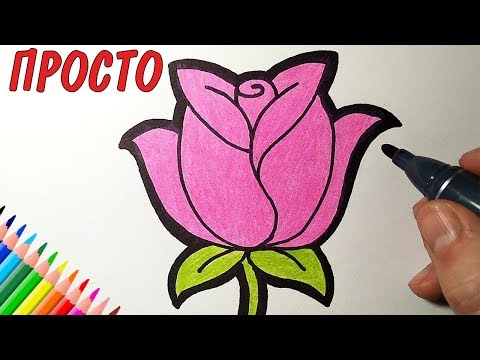 Как просто нарисовать РОЗУ, Рисунки для детей и начинающих #drawings