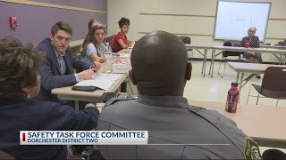 DD2 Safety Task Force