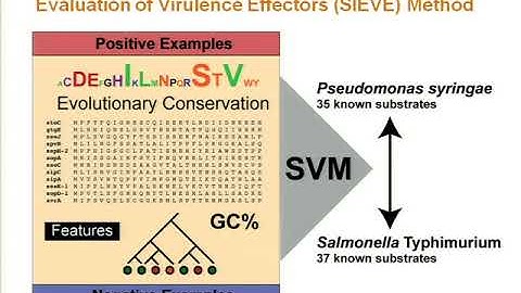 Discovery of a hidden sequence motif conserved in the... - Jason McDermott - ISMB/ECCB 2009
