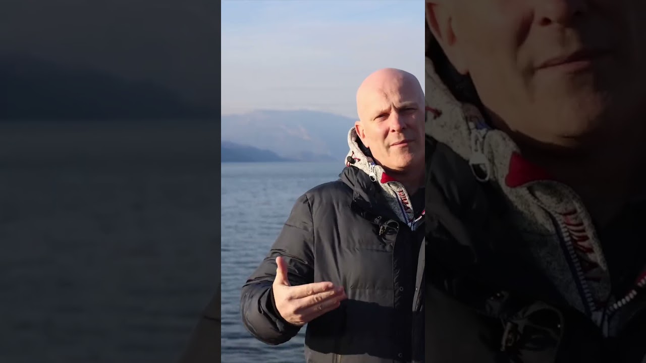 Bois Antibactérien : Santé et Nature