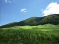 The Wind of Life　久石譲　Joe Hisaishi　ピアノソロ