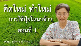 คิดใหม่ ทำใหม่ เรื่องการใช้ปุ๋ยในนาข้าว ตอนที่ 1 : ธาตุอาหารที่จำเป็นสำหรับข้าว