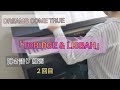 DREAMS COME TRUE  「TORIDGE &amp; LISBAH」弾き語り 2回目の練習動画