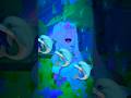 🐬🐬🐬 #roblox #ttd3 #fyp #shorts #youtubeshorts #MOONLIGHT